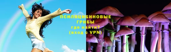 винт Горняк