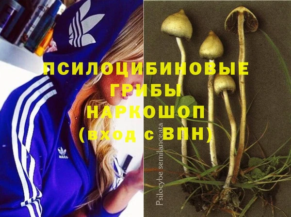 винт Горняк