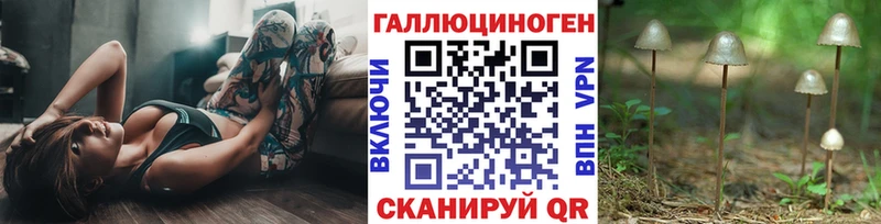 Галлюциногенные грибы Cubensis Данков