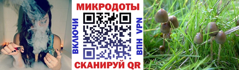 Псилоцибиновые грибы Magic Shrooms  Данков 