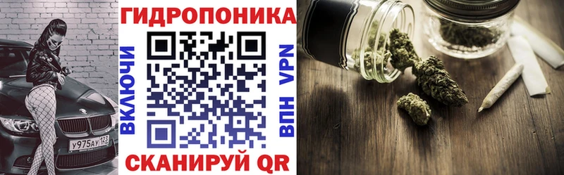 Конопля OG Kush  гидра ONION  Данков  закладка 